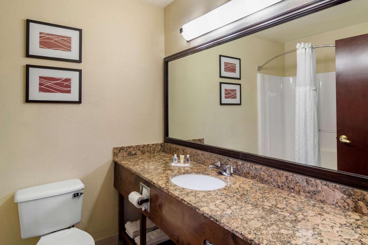Comfort Inn & Suites Suwanee - Sugarloaf Eksteriør billede
